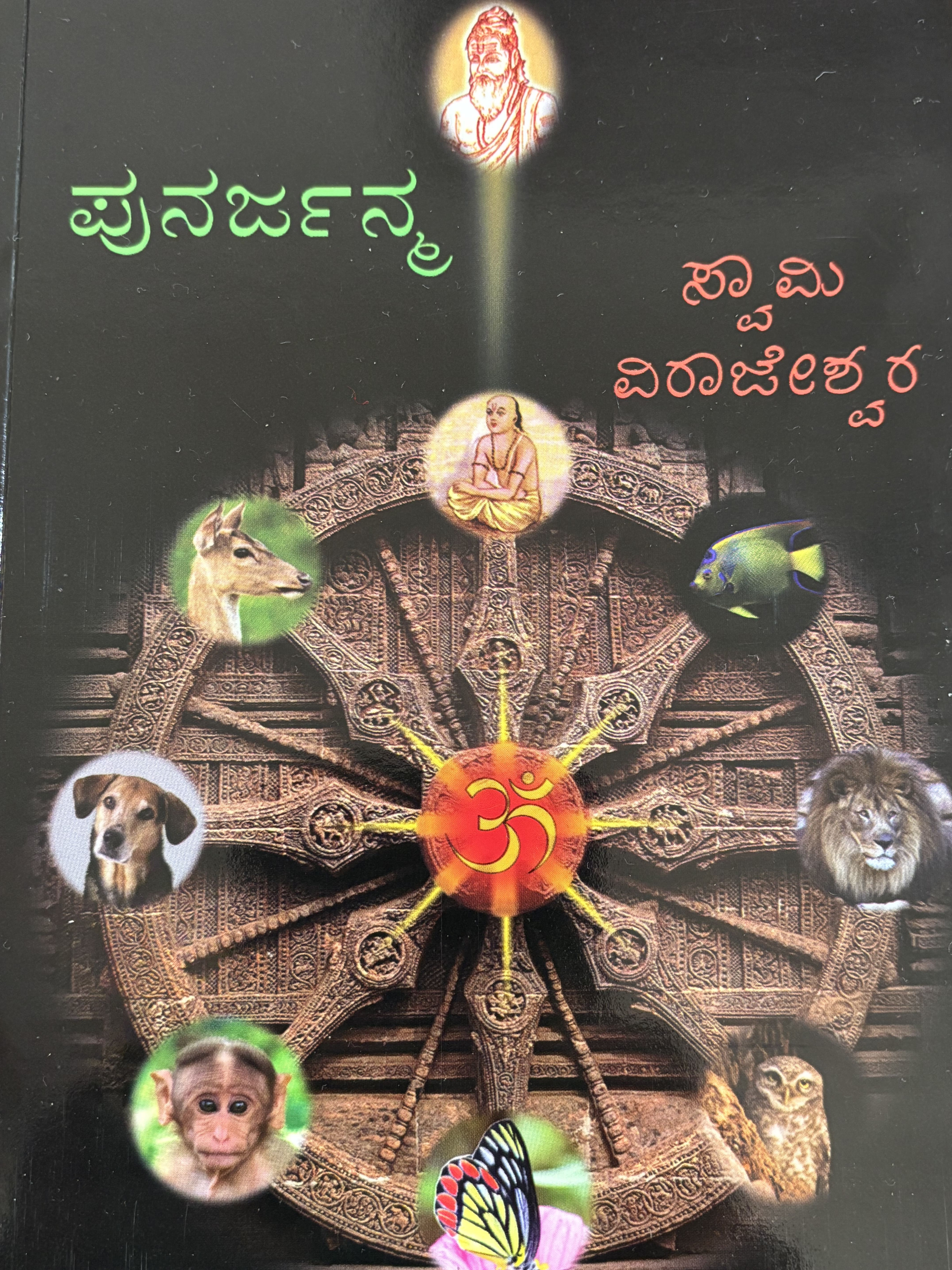 Rebirth(Kannada)