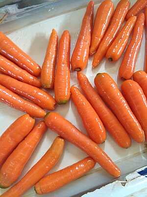 CARROT