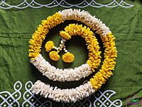 Lily Garland Lily Garland