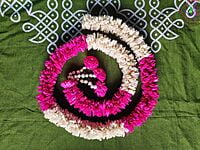 Lily Garland Lily Garland