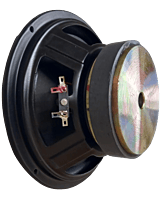 10 Inches Subwoofer 200w RMS