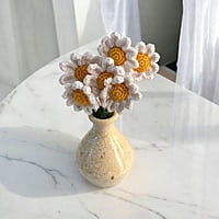 Daisy Small Flower White