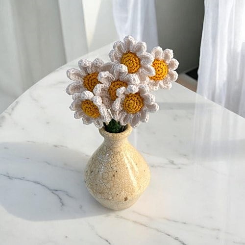 Daisy Small Flower White