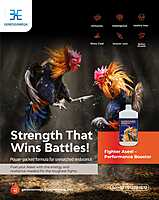 SARDOAVES OMEGA 36 FOR FIGHTER ASEEL 1L