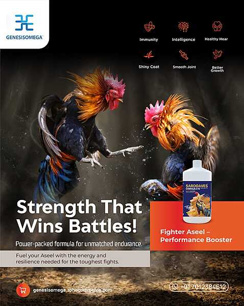 SARDOAVES OMEGA 36 FOR FIGHTER ASEEL 1L