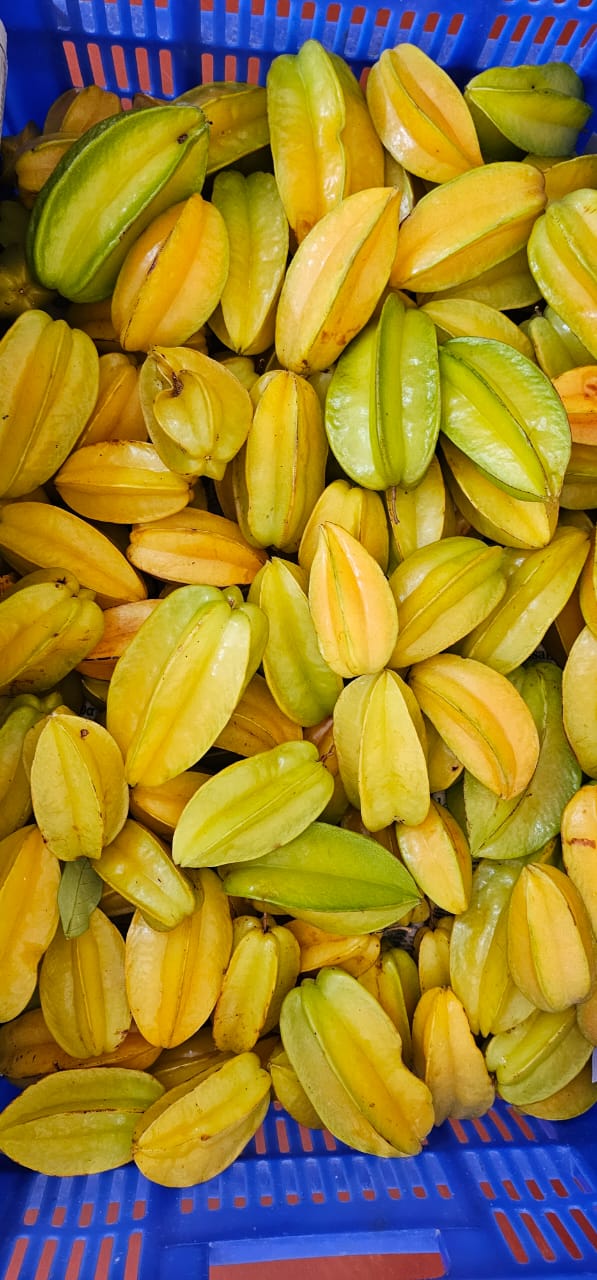 Fresh Star Fruit (Carambola)