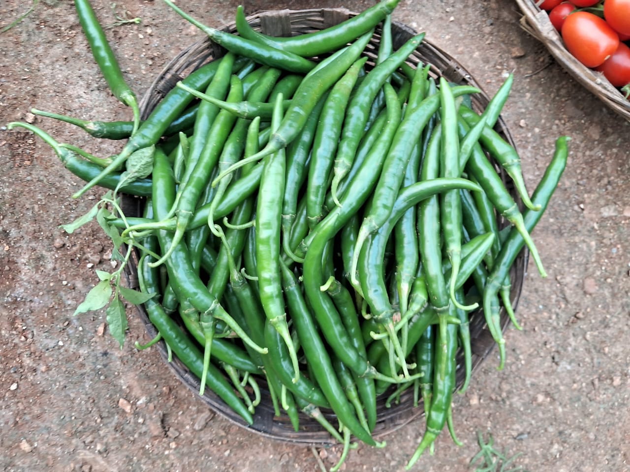 Fresh Green Chillies