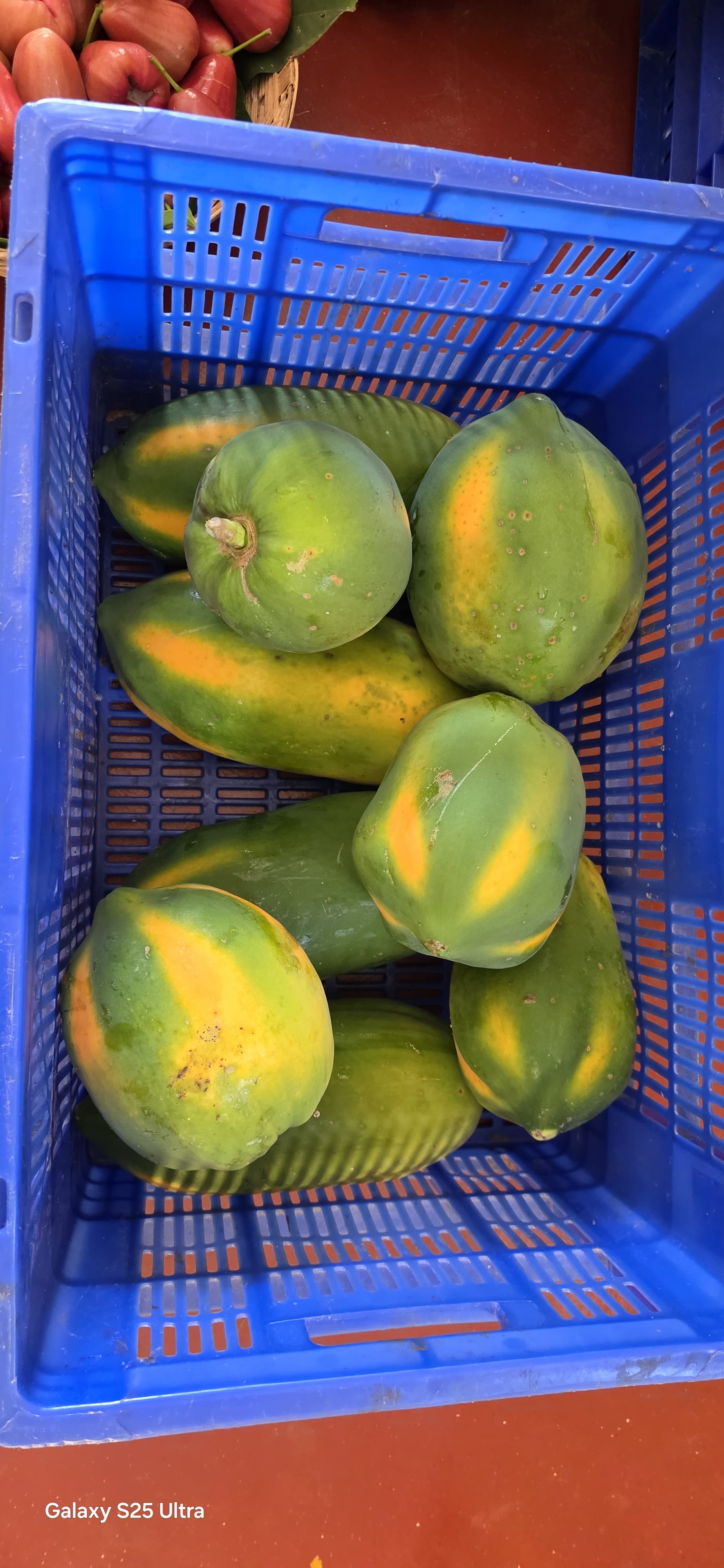 Papaya