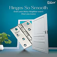 Palam SS Hinges