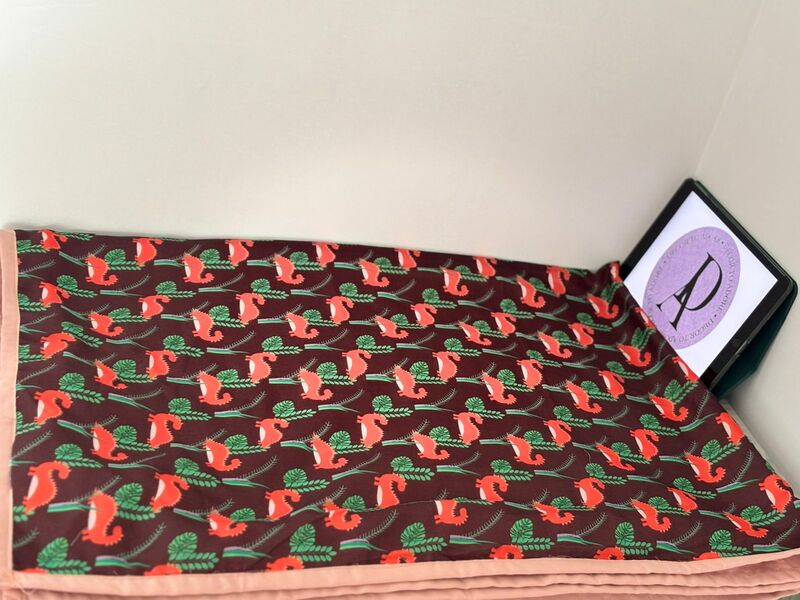 Kids dohars Maroon Dinosaur