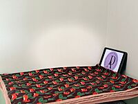 Kids dohars Maroon Dinosaur