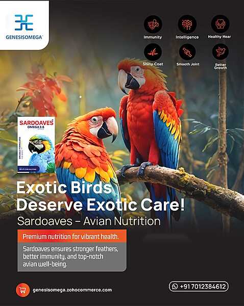 SARDOAVES Omega 36 for Exotic Birds 30ML