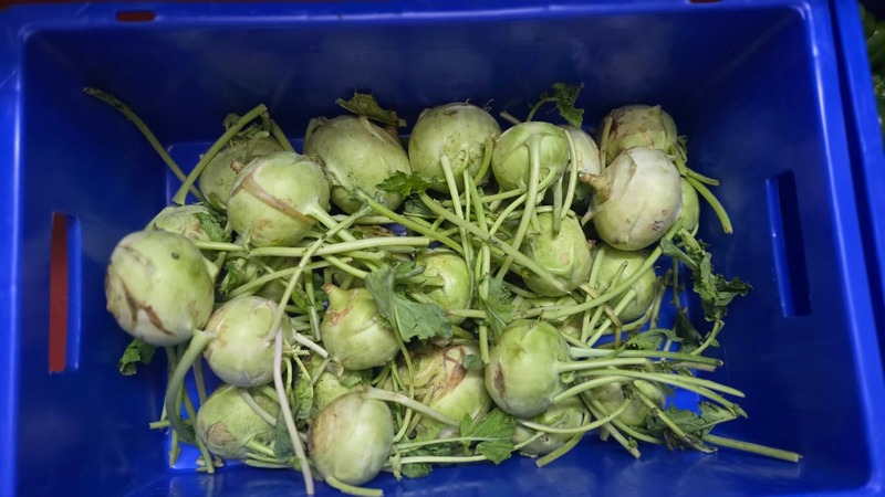 Kohlrabi ("knol knol")- 500 grams