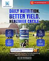 FARMPLUS FISH3OIL OMEGA 36 TURMERIC EXTRACT BLEND FOR DAIRY 1L