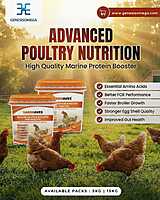 Sardoaves Marine PROTIEN BOOSTER for Poultry