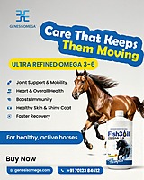 FARMPLUS FISH3OIL OMEGA 36 FOR HORSE 1L