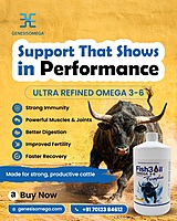 FARMPLUS FISH3OIL OMEGA 36 FOR BULL 5L