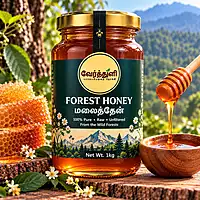 Wild Forest Honey (மலைத்தேன்)