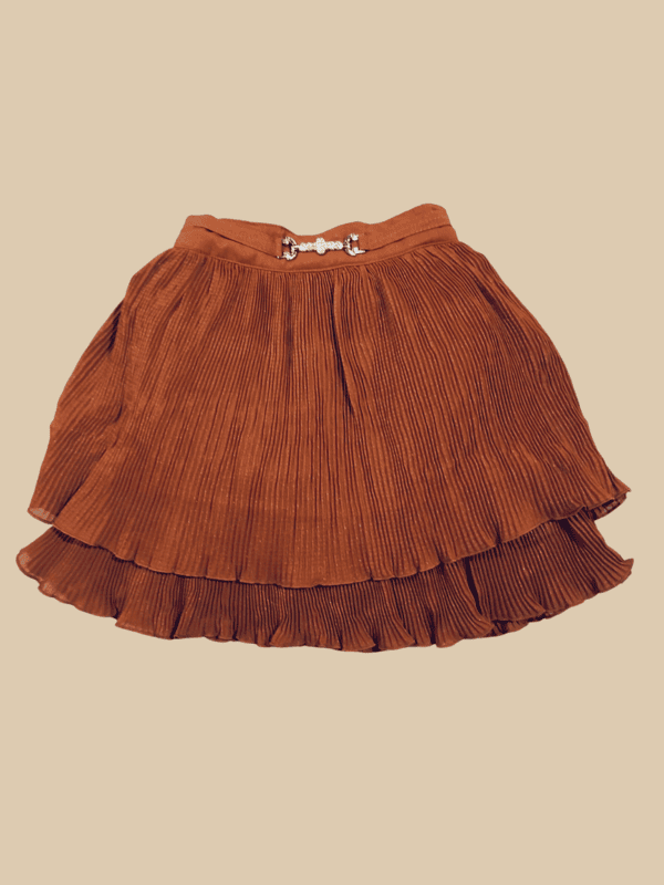 Elegant Floral Top & Rust Pleated Skirt Set for Girls D.11.015V B.1258