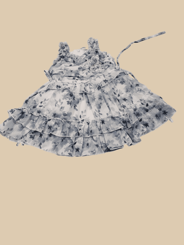 Elegant Baby Girl Sleeveless Floral Frock D.20.1223 B.1315
