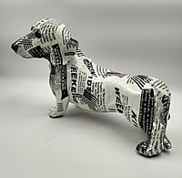 Black & White Dog