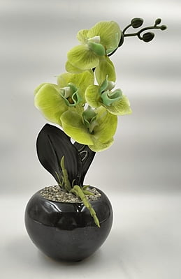 Fresh Flora Pot (3" X 10")