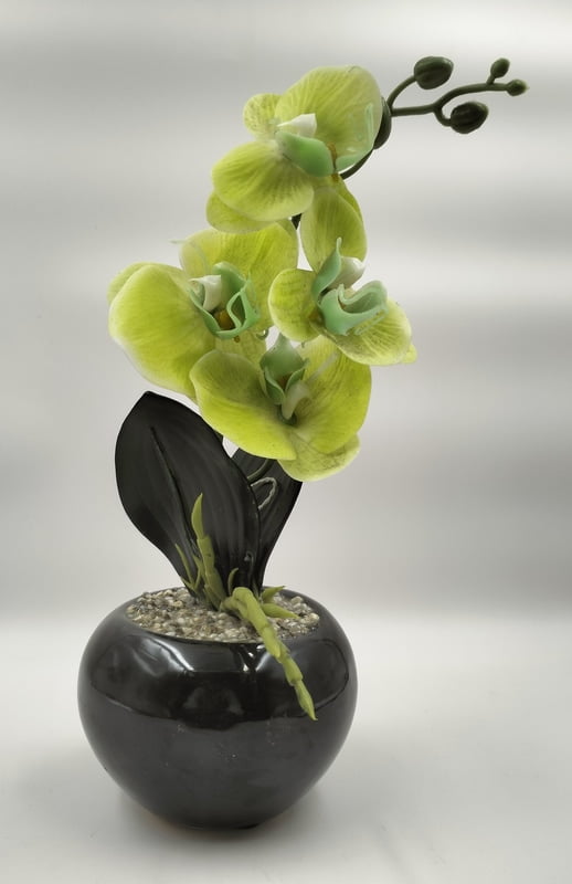 Fresh Flora Pot (3" X 10")