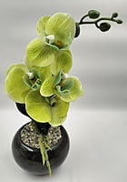 Fresh Flora Pot (3" X 10")