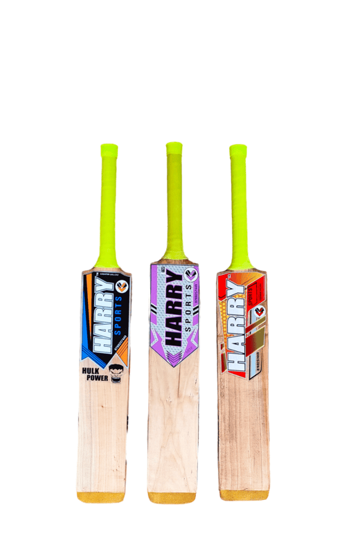 Cricket bat for children
