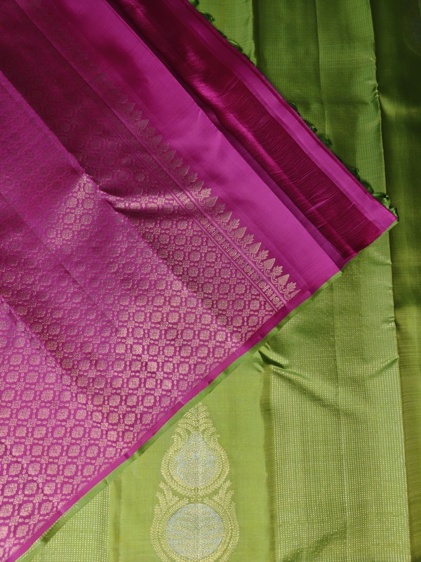 Pure Silk Parrot Green Borderless Saree with Rich Gold Zari Buttas