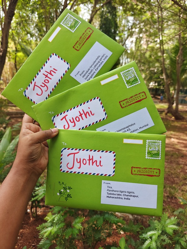 Letters from the Wild