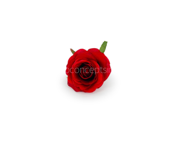 Rose Big - Deep Red