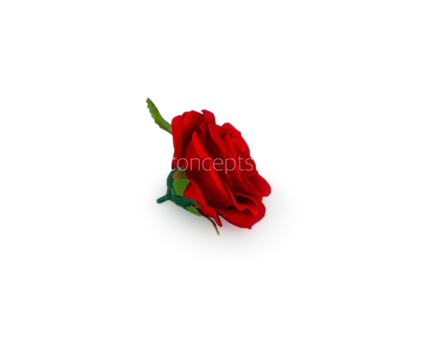 Rose Big - Deep Red
