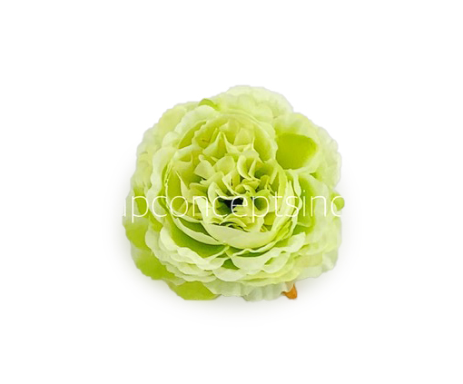 Ornate Peony - Lime