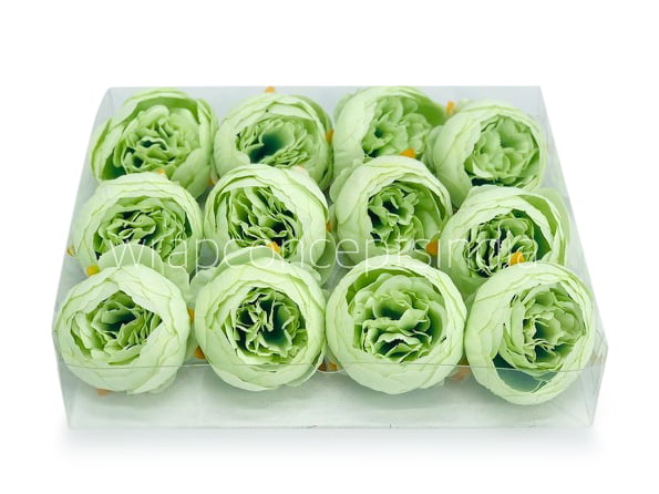 Peony - Pistachio Green