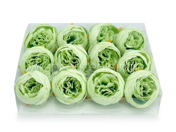 Peony - Pistachio Green