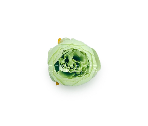 Peony - Pistachio Green
