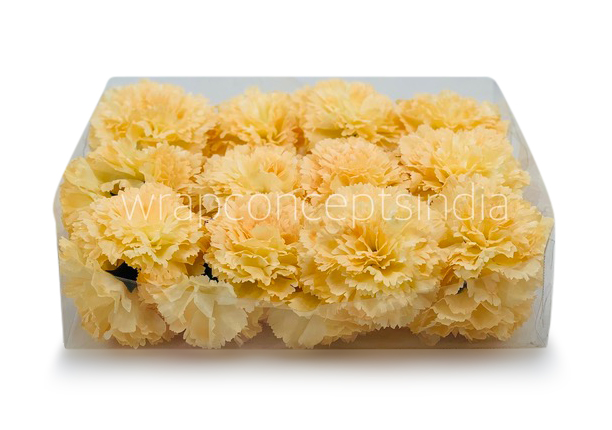Buttercup Carnation