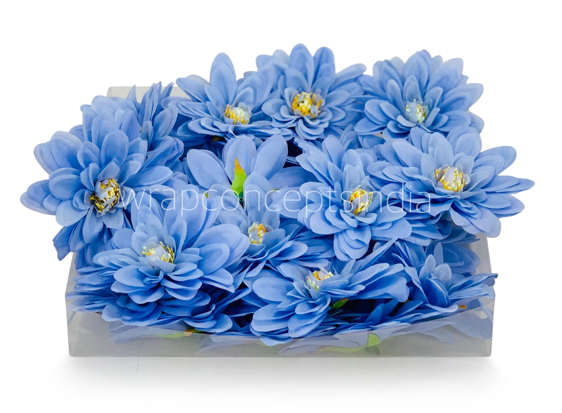 Uranian Blue Dahlias