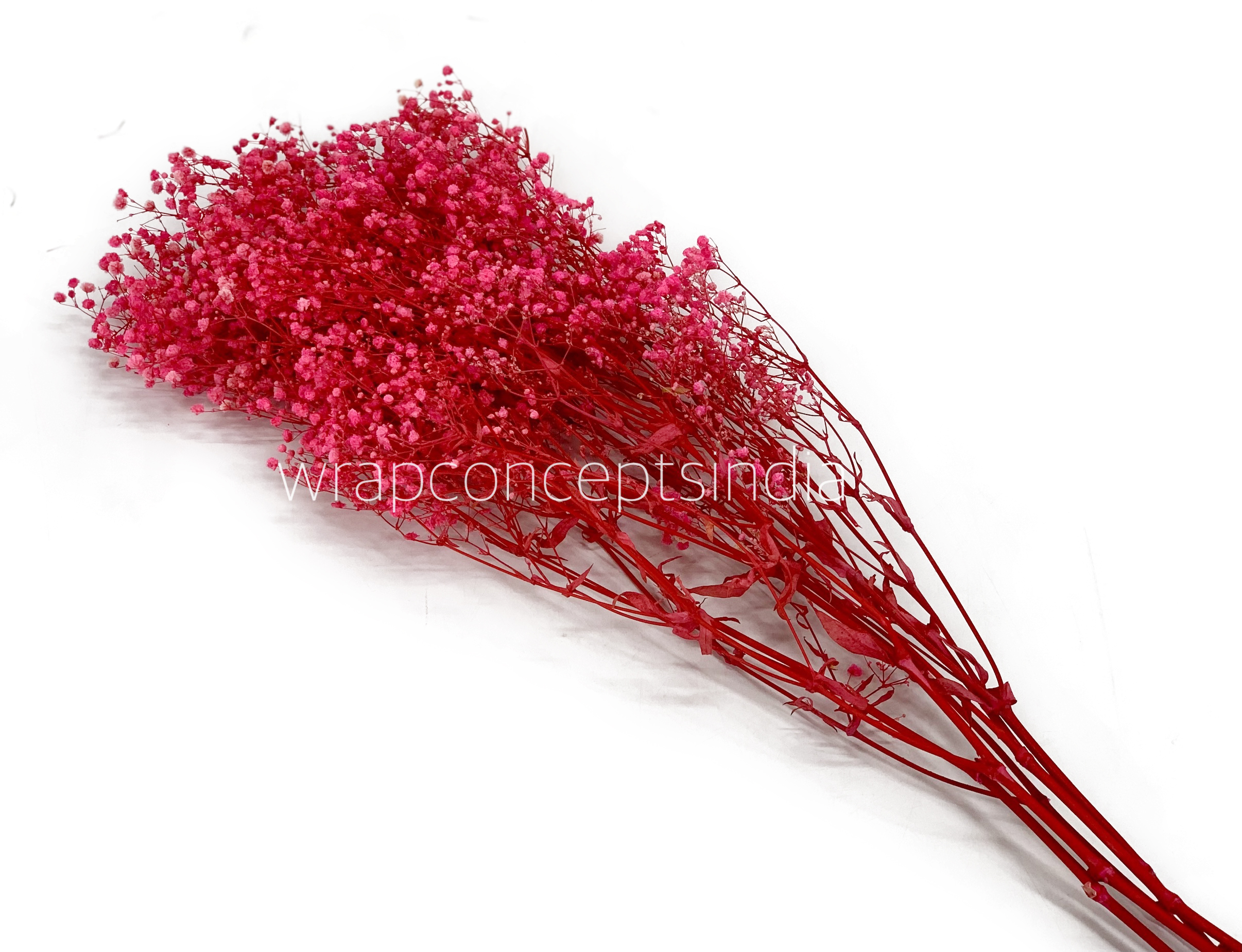Preserved Baby Breath