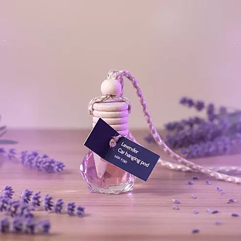 Zenvia LAVENDER Car Hanging Pod (10ml)