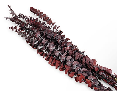 Natural Preserved Eucalyptus Bunch