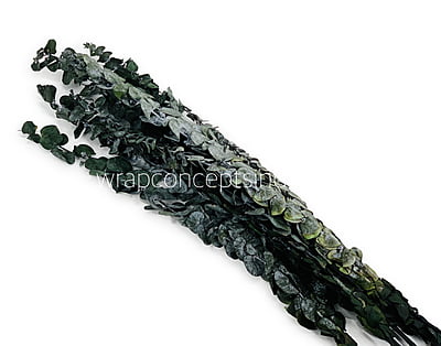 Natural Preserved Eucalyptus Bunch