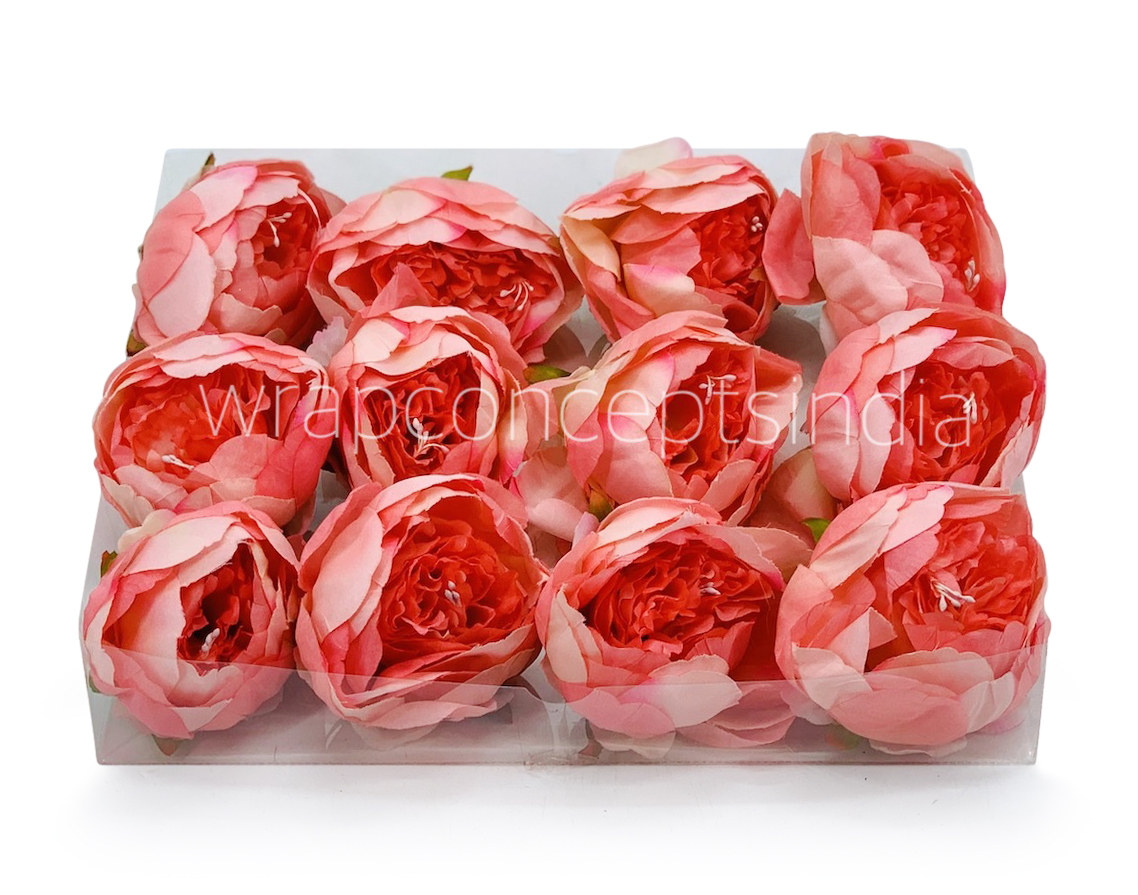 Peony - Coral