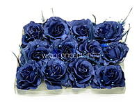 Deep Blue Rose With Feather & Pearl String