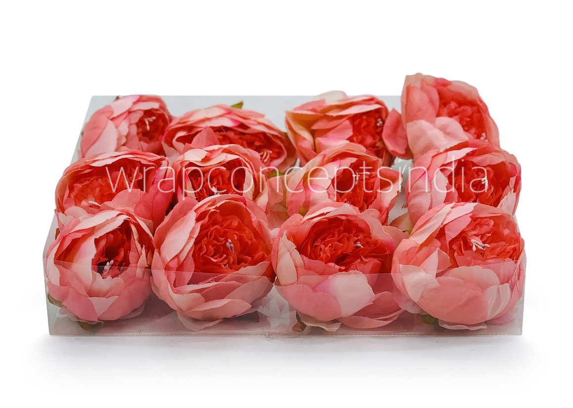Peony - Coral