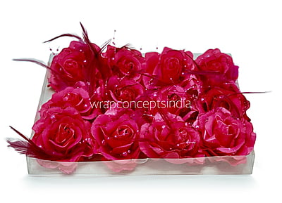 Fuchsia Rose With Feather & Pearl String