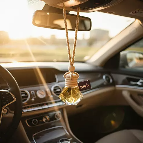 Zenvia SHUKRANA GURUJI Car Hanging Pod (10ml)