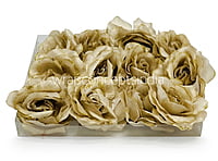 Hazelnut Rose Flower