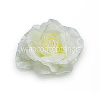 Buttermilk Rose Flower